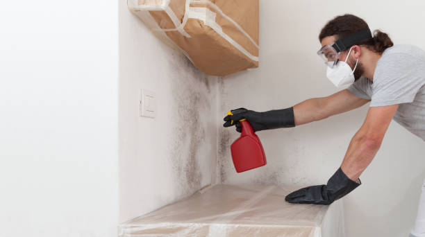 Professional Mold Remediation technician working in Winburne, PA