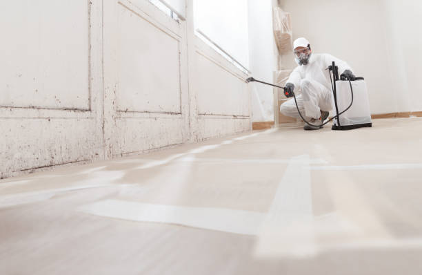24/7 Emergency Mold Remediation experts in Winburne, PA