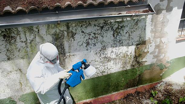 Top rated local Mold Remediation specialists in Winburne, PA